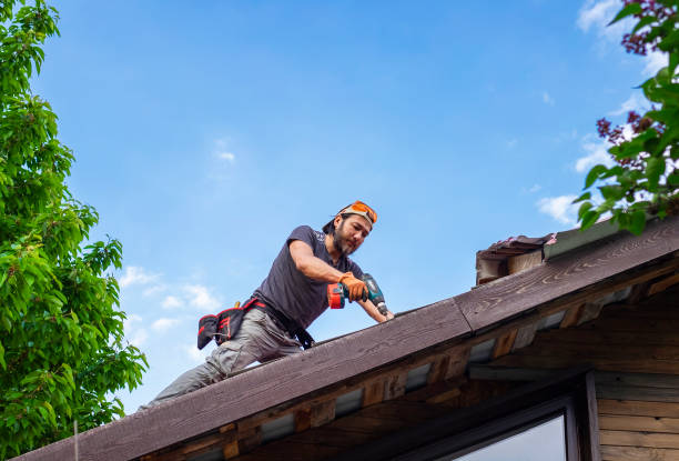 Best Roof Inspection  in Wasilla, AK