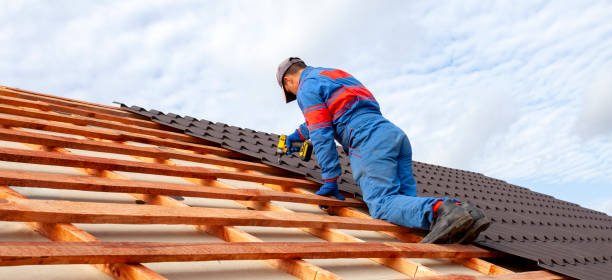 Best Roof Installation  in Wasilla, AK