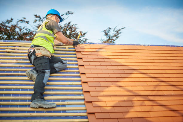 Best Green or Eco-Friendly Roofing Solutions  in Wasilla, AK